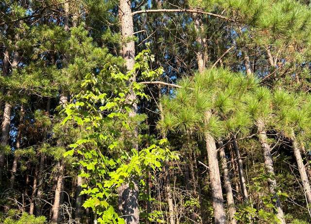 Property at 2850 Whipping Creek Rd, Gladys, VA 24554