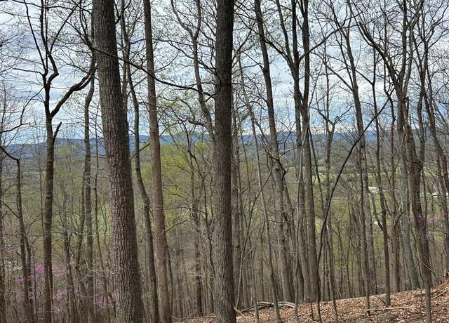 Property at 6 Crane Dr, Monroe, VA 24574