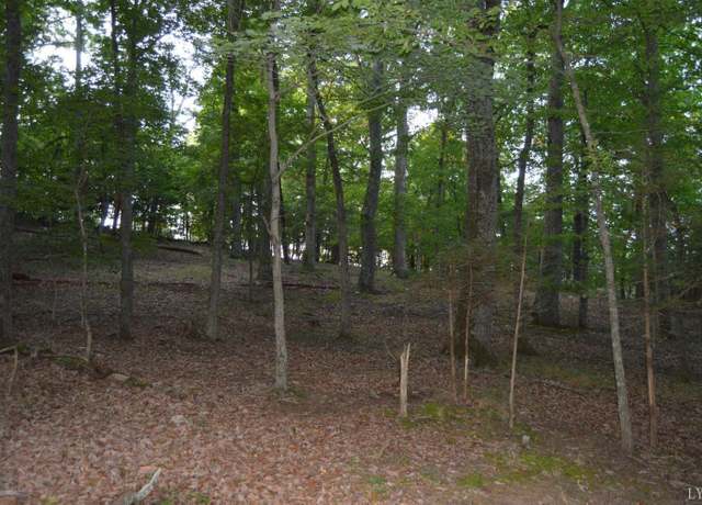 Property at 7 Cifax Rd, Goode, VA 24556