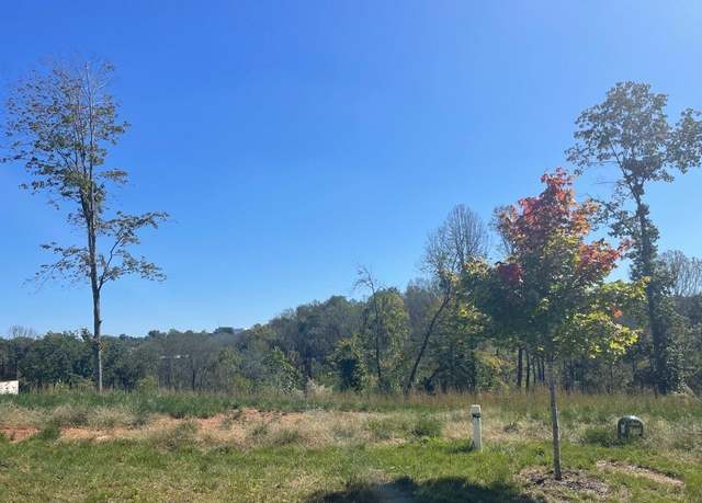 Property at 922 Elmwood Avenue Ave, Lynchburg, VA 24503