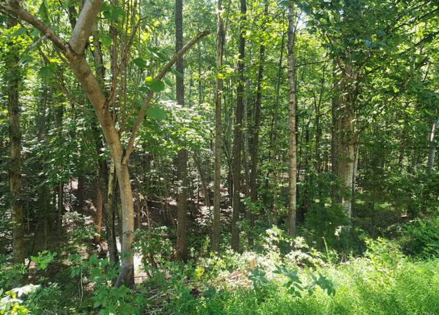 Property at 0 Knoll Woods Dr, Rustburg, VA 24588