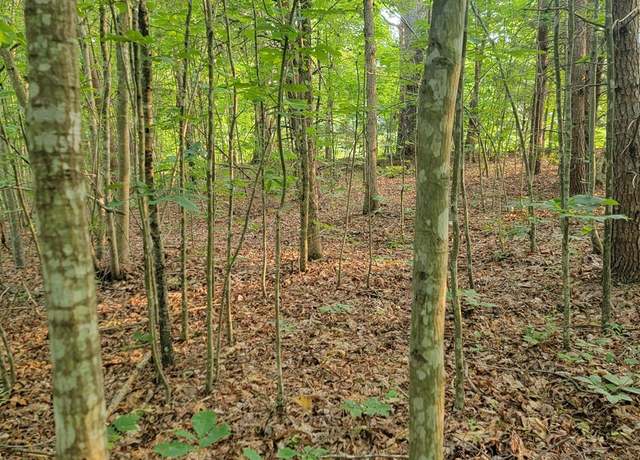 Property at 2 Lewis Ford Rd, Brookneal, VA 24528