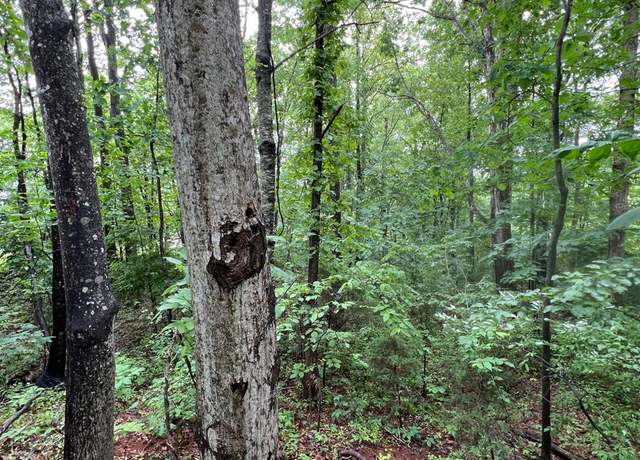 Property at 0 Crestview Dr, Rustburg, VA 24588