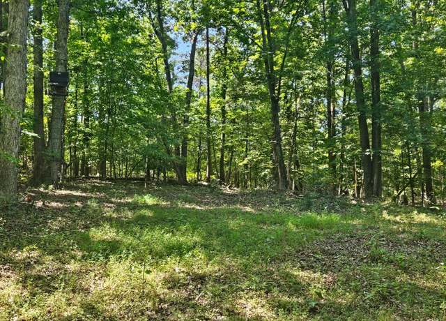 Property at 0 Gladys Rd, Altavista, VA 24517