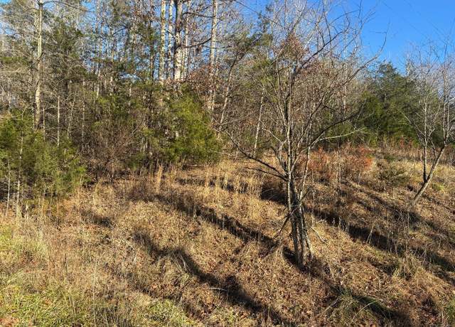 Property at 0 Chestnut Fork Rd, Bedford, VA 24523