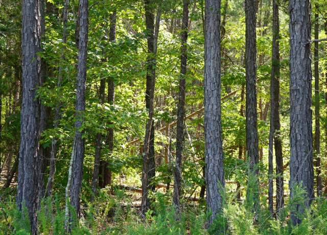 Property at 0 Felix Rd, Nathalie, VA 24577