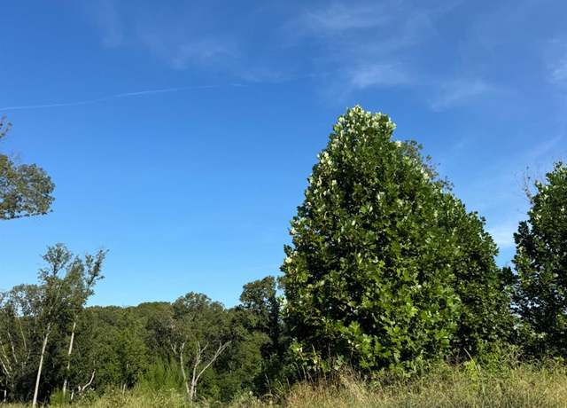 Property at 925 Elmwood Ave, Lynchburg, VA 24503