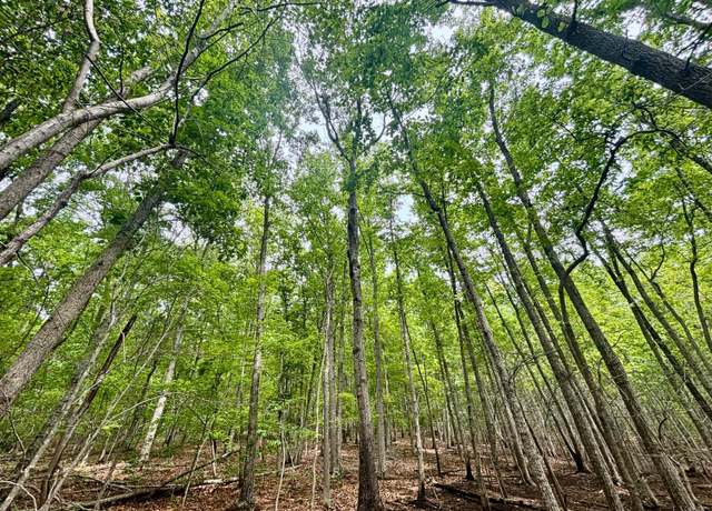 Property at 0 Otterwood Ct, Evington, VA 24550