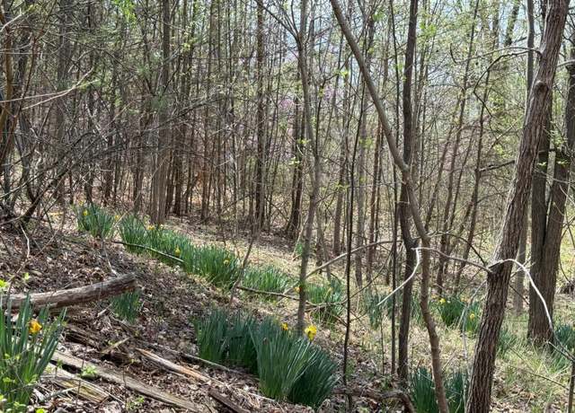 Property at 0 Murray Hollow Rd, Thaxton, VA 24174