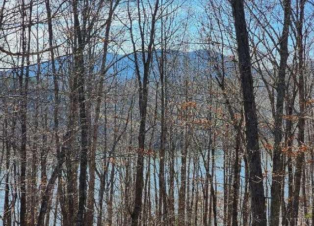 Property at 0 Robin Ridge Ct, Pittsville, VA 24139