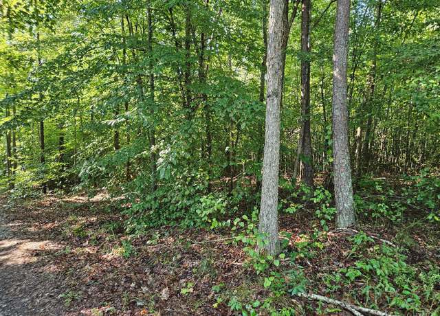 Property at 0 Abilene Rd, Keysville, VA 23947