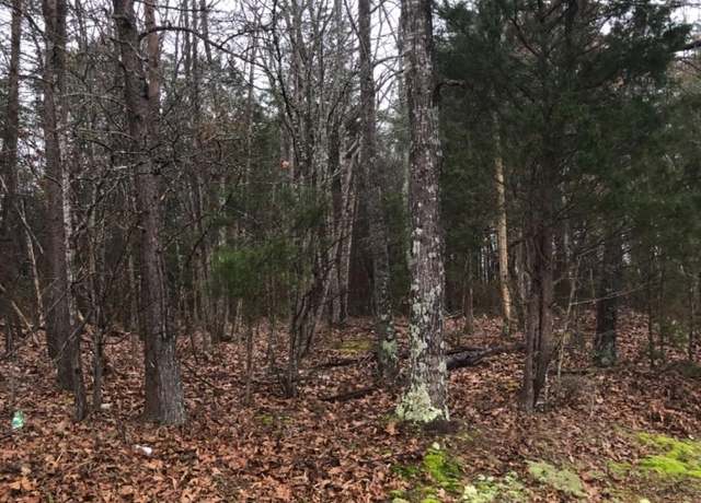 Property at 0 3B Mohawk, Gladys, VA 24554