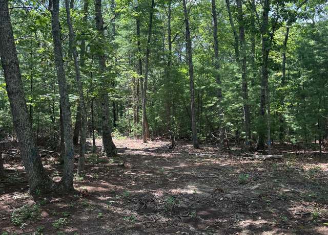 Property at 0 Cheatham Rd, Monroe, VA 24574