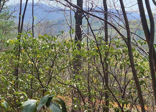 Property at 303 Harrison Creek Rd, Amherst, VA 24521