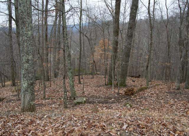 Property at 0 Hickory Falls Rd, Blue Ridge, VA 24064