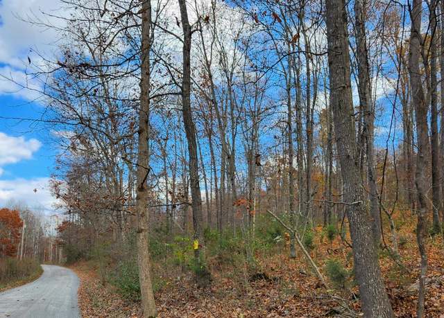 Property at 0 Major Grahams Rd, Wytheville, VA 24382