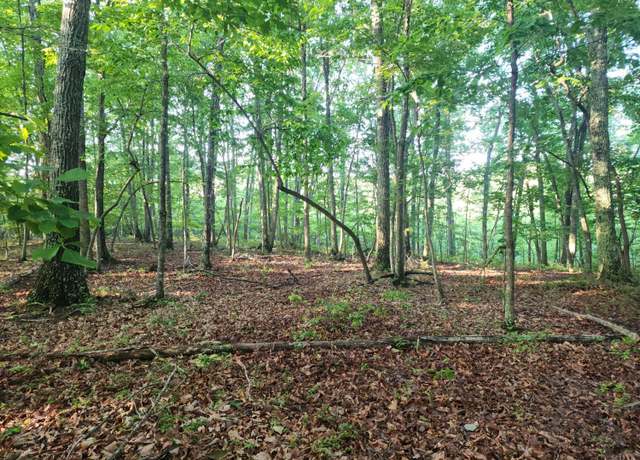 Property at 0 Ridge Rd, Evington, VA 24550