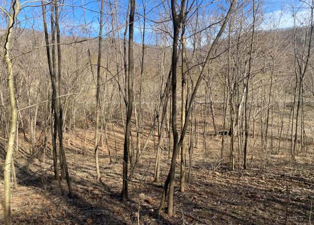 Property at 1514 Sweet Hollow Rd, Big Island, VA 24526, 2 beds, 1 bath