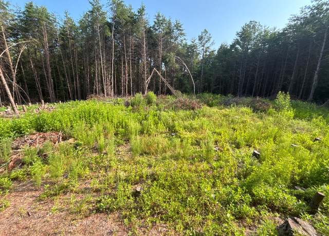Property at 0 Felix Rd, Nathalie, VA 24577