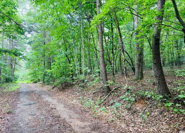 Property at 0 Main St, Hurt, VA 24563
