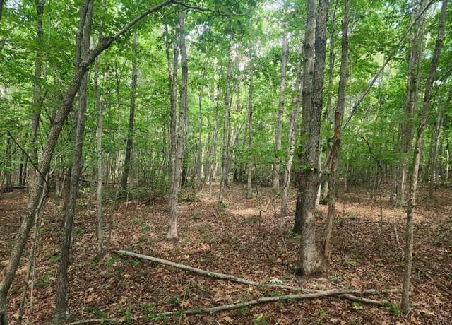 Property at 0 Red House Rd, Appomattox, VA 24522