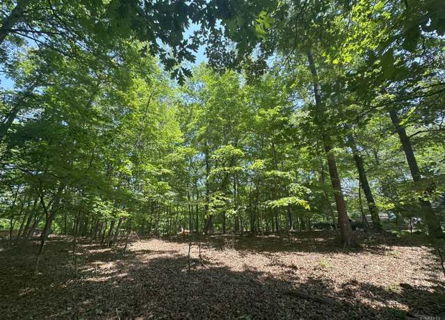 Property at 0 Silverbush, Bedford, VA 24523