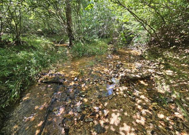 Property at 0 W James Anderson Hwy, Gladstone, VA 24553