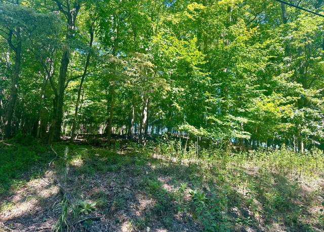 Property at 0 Whisperwood Ln, Moneta, VA 24121