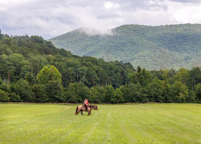 Property at 0 41 News Rd, Eagle Rock, VA 24085