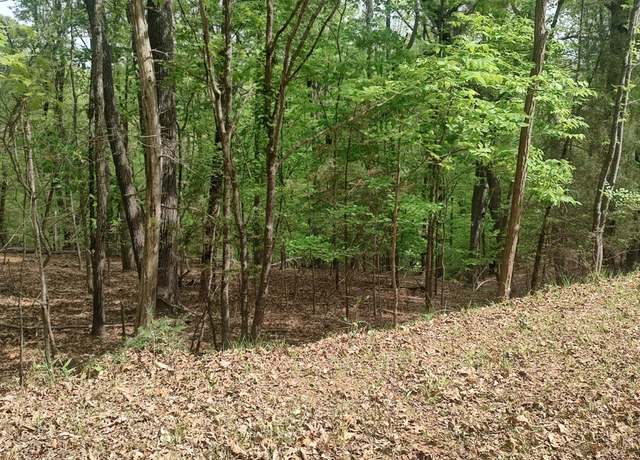 Property at 0 Shad Run Dr, Moneta, VA 24121