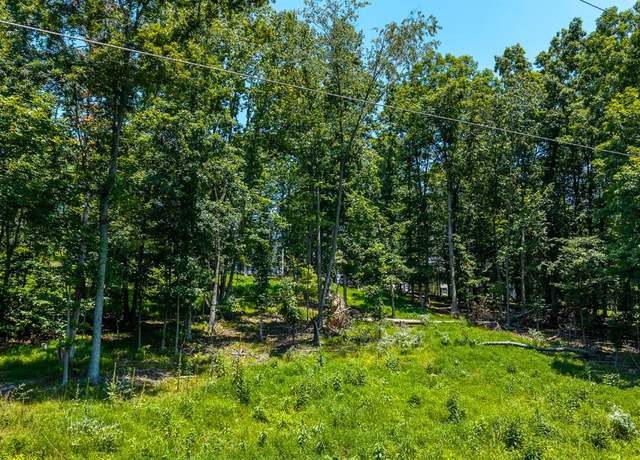 Property at 0 Clan Alpine Way, Glasgow, VA 24555