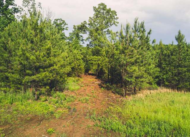 Property at 0 Terrapin Creek Rd, Huddleston, VA 24104