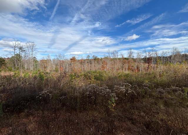 Property at 0 Colemans Mill Rd, Gladstone, VA 24553