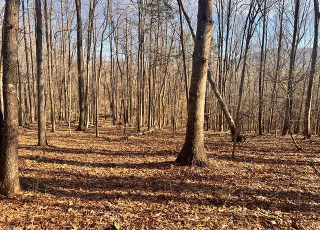 Property at 0 Copperhead Rd, Big Island, VA 24526