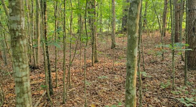 Photo of 4 Lewis Ford Rd, Brookneal, VA 24528