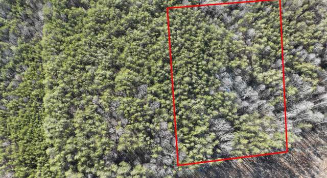 Photo of 0 Minifee Ln, Gladstone, VA 24553