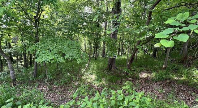 Photo of 0 Lot 37, Twin Lake Dr, Bedford, VA 24523