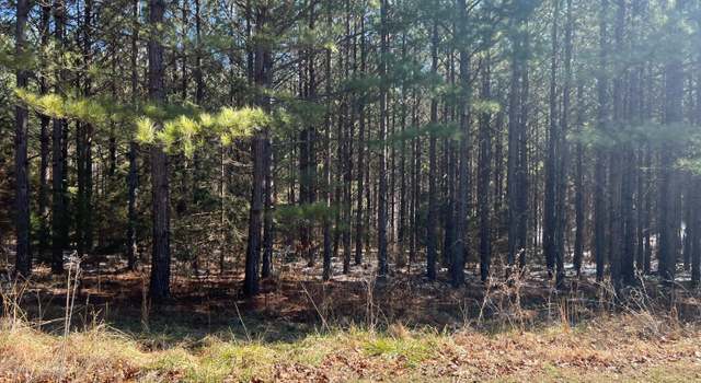 Photo of 0 First Rock, Prospect, VA 23960