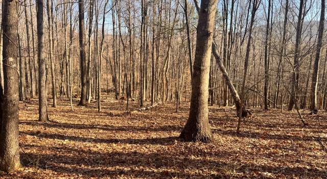 Photo of 0 Copperhead Rd, Big Island, VA 24526