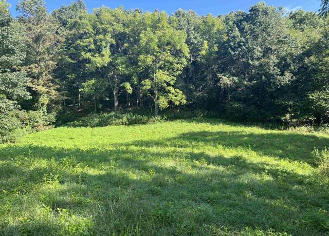 Property at TBD Litlle River Dam Rd, Hiwassee, VA 24347
