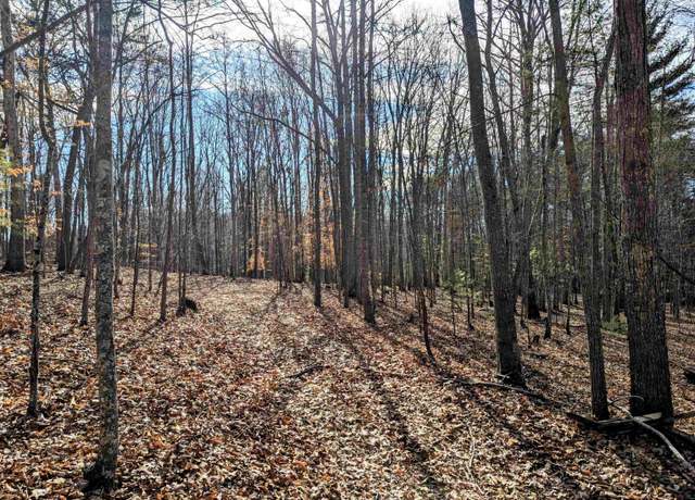 Property at TBD Irish Mountain Rd, Allisonia, VA 24347