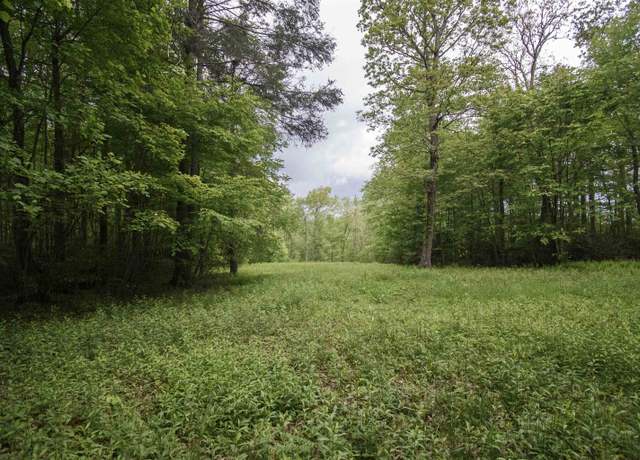 Property at TBD Keno Rd, Laurel Fork, VA 24352