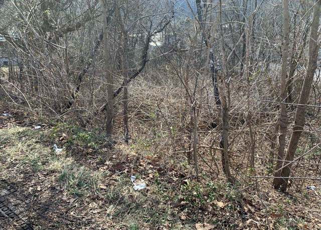 Property at TBD Shumate Ave, Rich Creek, VA 24147