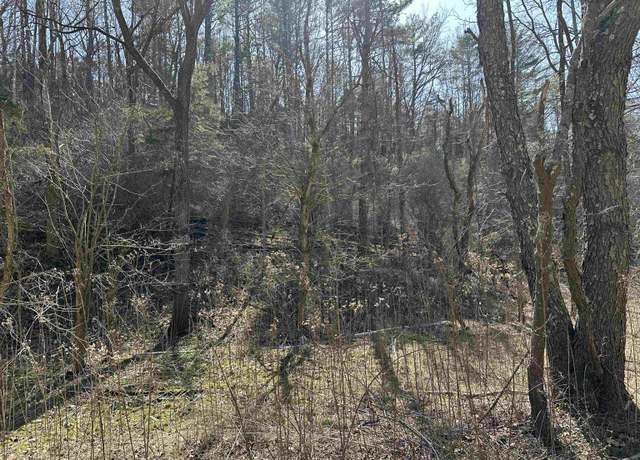 Property at TBD Walkers Creek Vly Rd, Pearisburg, VA 24134