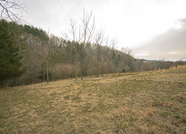 Property at TBD Lot 8 Boyd Rd, Draper, VA 24324