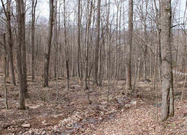 Property at TBD Gobbler Ln, Newport, VA 24128