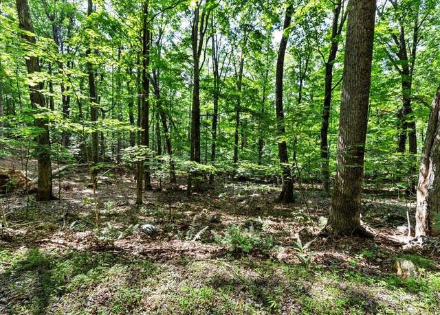 Property at TBD Gobbler Ln, Newport, VA 24128