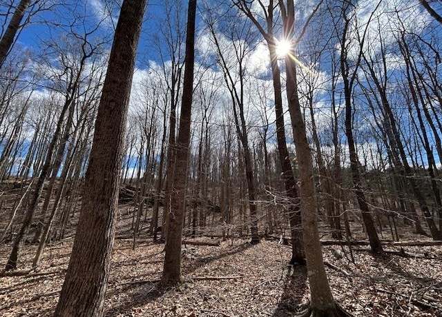 Property at TBD Mt. Tabor Rd, Blacksburg, VA 24060