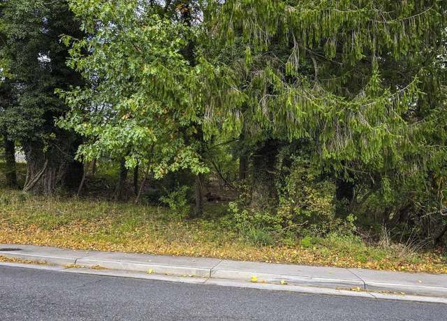 Property at 507 Nellies Cave Rd, Blacksburg, VA 24060
