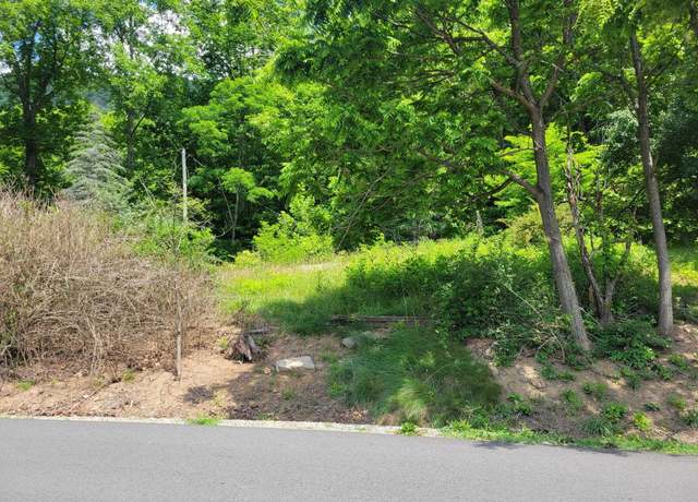 Property at 4231 Little Creek Rd, Dublin, VA 24084